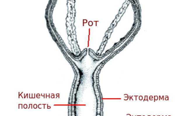 Kraken официальный сайт ссылка через tor