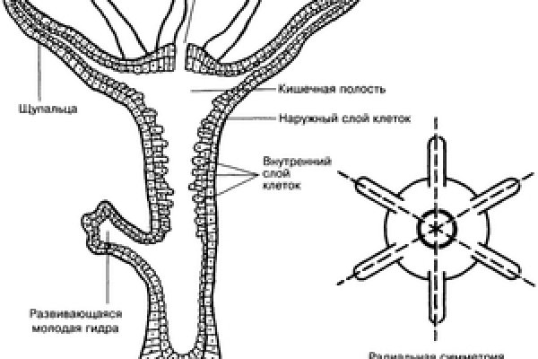 Ссылка на кракен 14ат